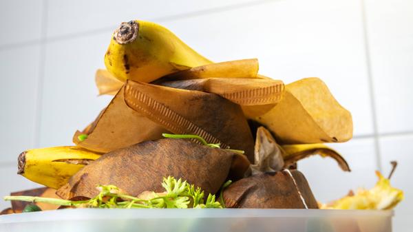 imago images 0199864337