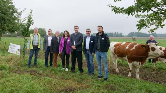 Auf das Lamm folgt das Weiderind - Naturpark Altmühltal erweitert Projekt für regionale Lebensmittel