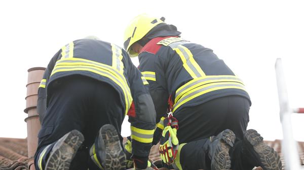 Einbruch in eine Nettofiliale: Täter dringen über das Dach ein und schweißen den Tresor auf