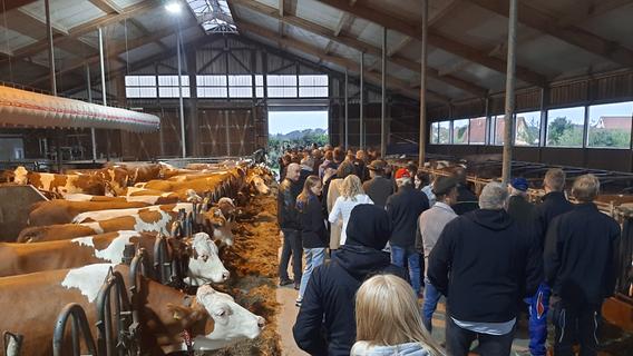 Preisschwankungen und Auflagen-Wettrüsten: Darum kritisieren Roths Milchbauern die EU-Agrarpolitik