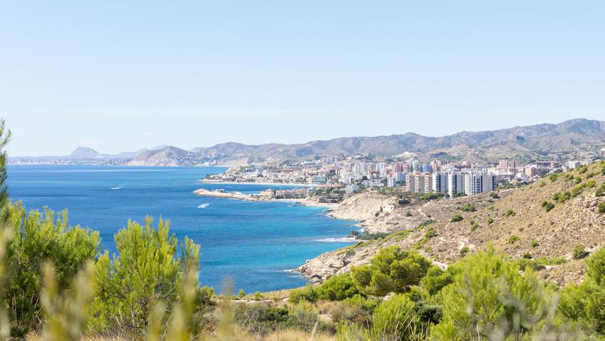 In Benidorm, Spanien, sind angriffslustige Fische an den Küsten zugange. In Benidorm, Spanien, sind angriffslustige Fische an den Küsten zugange.