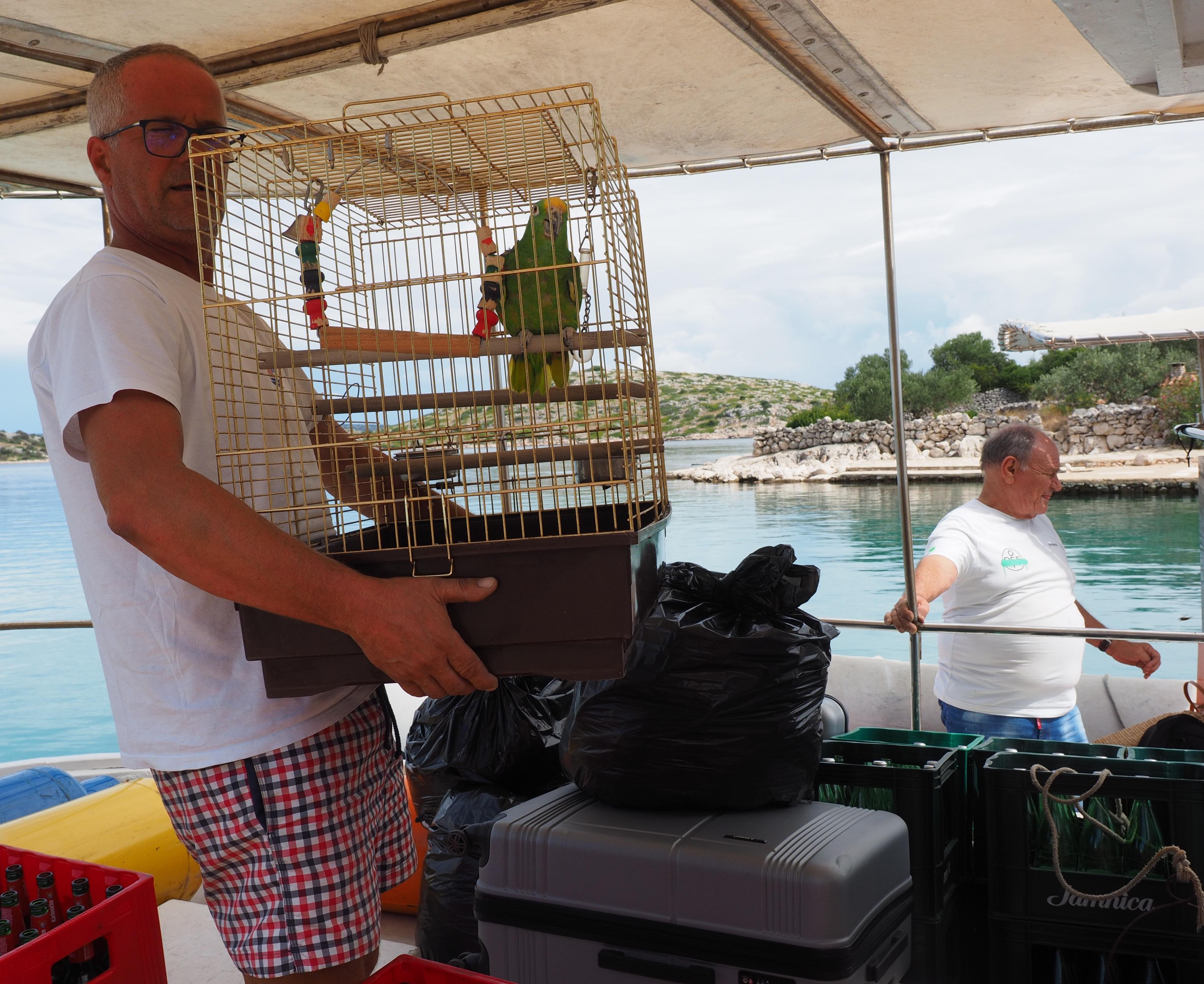 Der Restaurant-Papagei zieht um an Land. Die spannende Reportage zu dieser Bildergalerie lesen Sie hier auf www.nn.de.