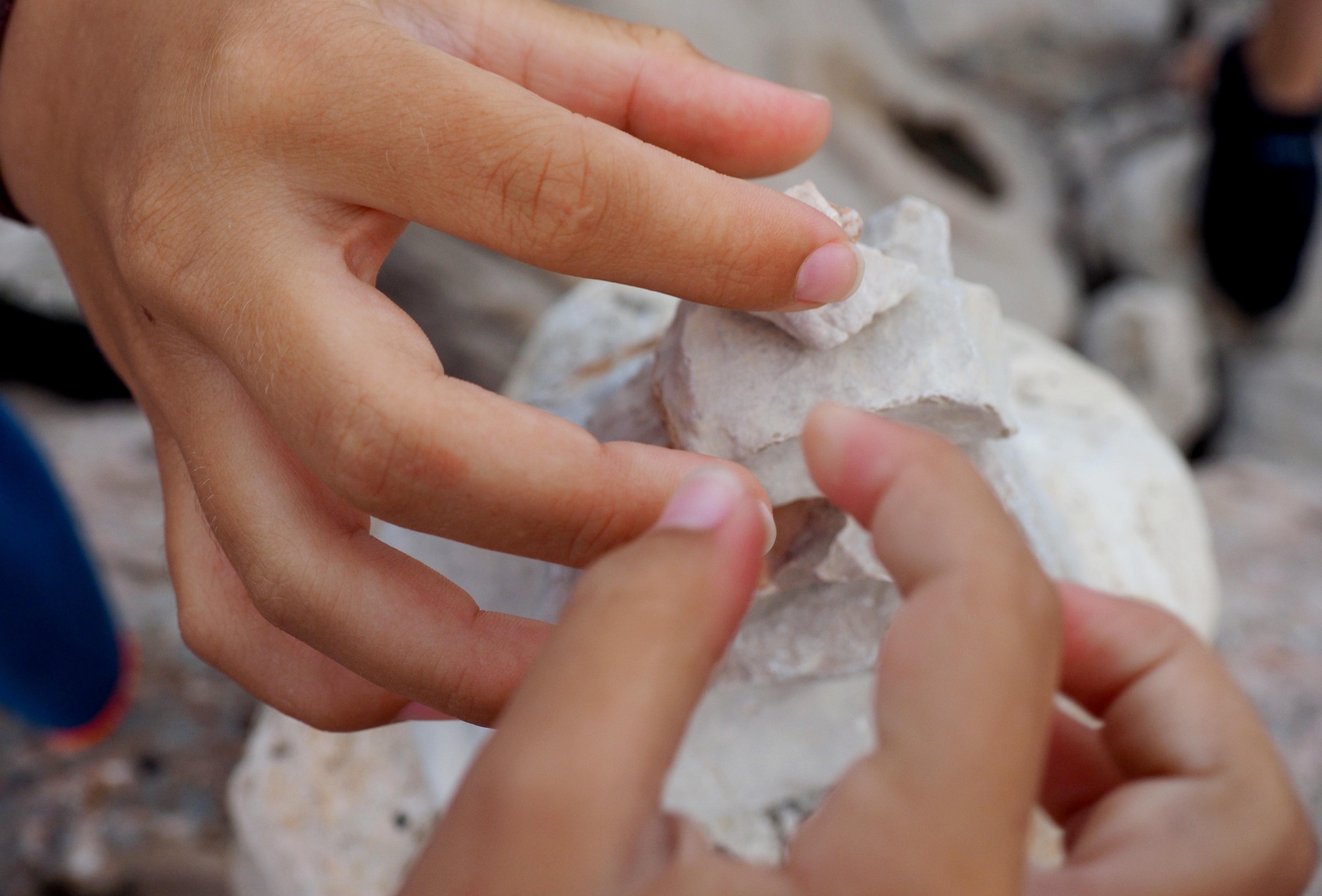 Die Kinder bauen Steinmännchen.