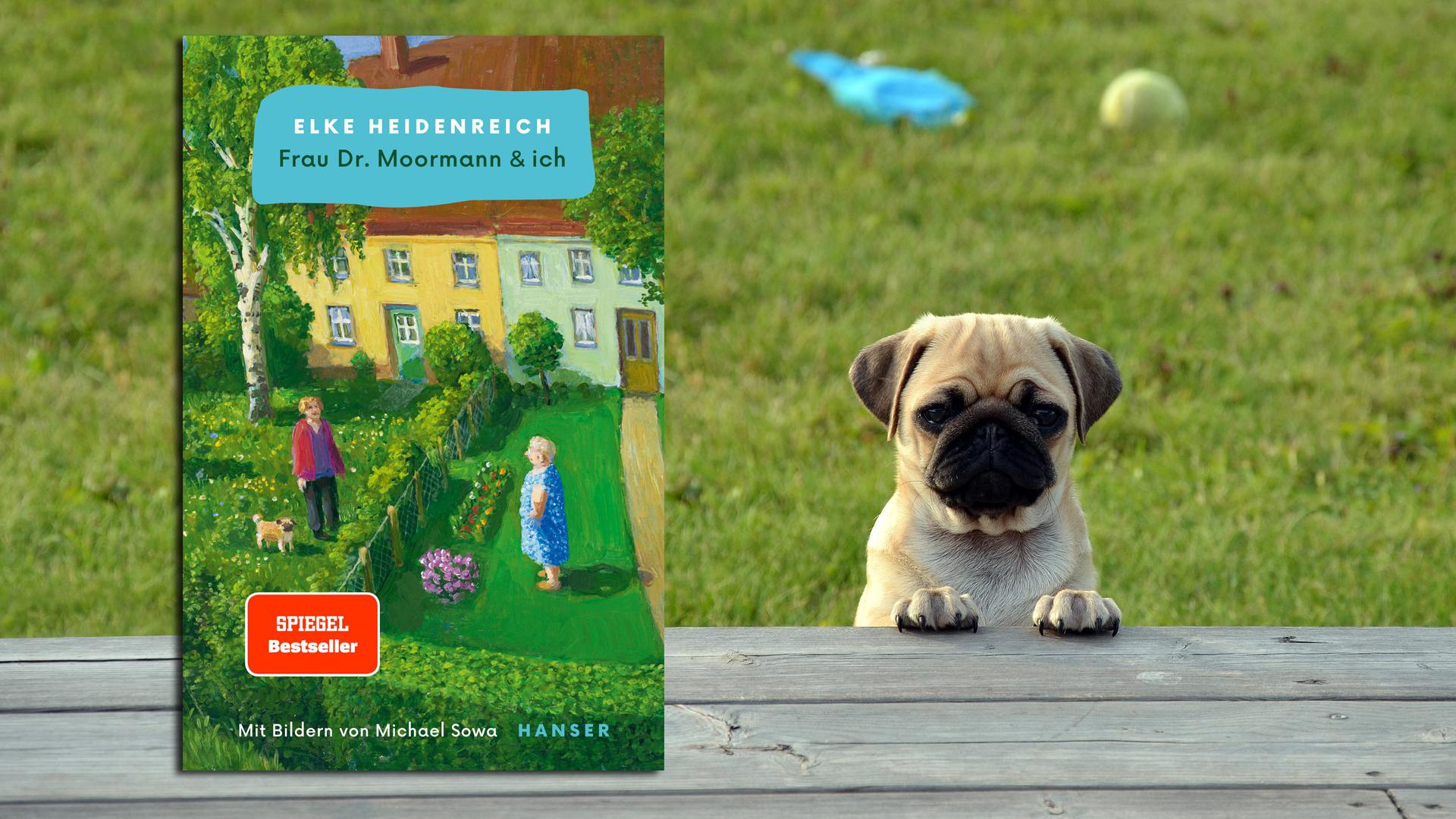 Ja so sind Nachbarn: Wenn das Möpschen bellt, passt es nicht, vor dem Haus liegen zu viele Blätter, die gekehrt werden müssen, und ganz überhaupt weiß die alte Motztante von nebenan ja alles besser! Es ist kaum auszuhalten und Elke Heidenreich entwickelt schon schier Mordgedanken. Aber ihr neuester launiger Streich, "Frau Dr. Moormann und ich", ist ja eigentlich als Kinderbuch gedacht, deshalb gibt es zu den wunderbaren Bildern von Michael Sowa und dem unerwartet versöhnlichen Ende auch noch eine Extraportion mopsfellsträubender Reime... Man liest es in jedem Alter gern! (Hanser, 20 Euro) Wolf Ebersberger