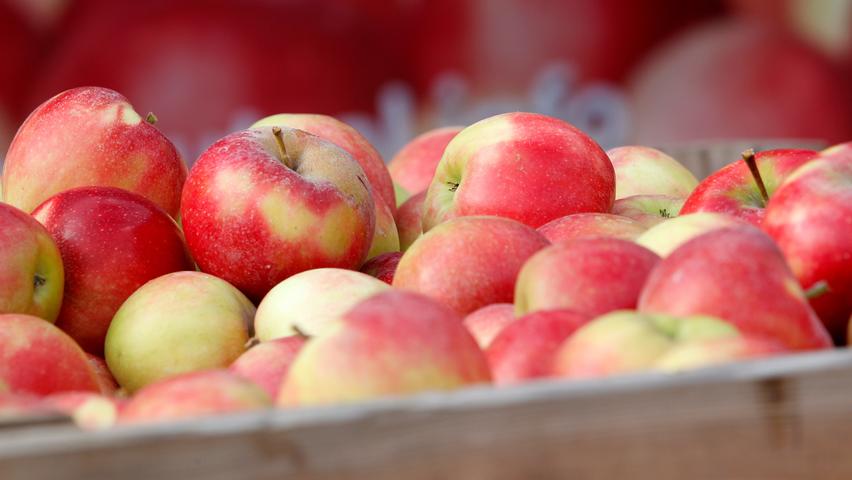 Äpfel sind das beliebteste Obst in Deutschland . Kaum eine andere Frucht wird in diesen Mengen gegessen. Unser Ergebnis: Vielseitigkeit 4 von 5 Punkten Gesundheit 5 von 5 Punkten Ökobilanz 3 von 5 Punkten
