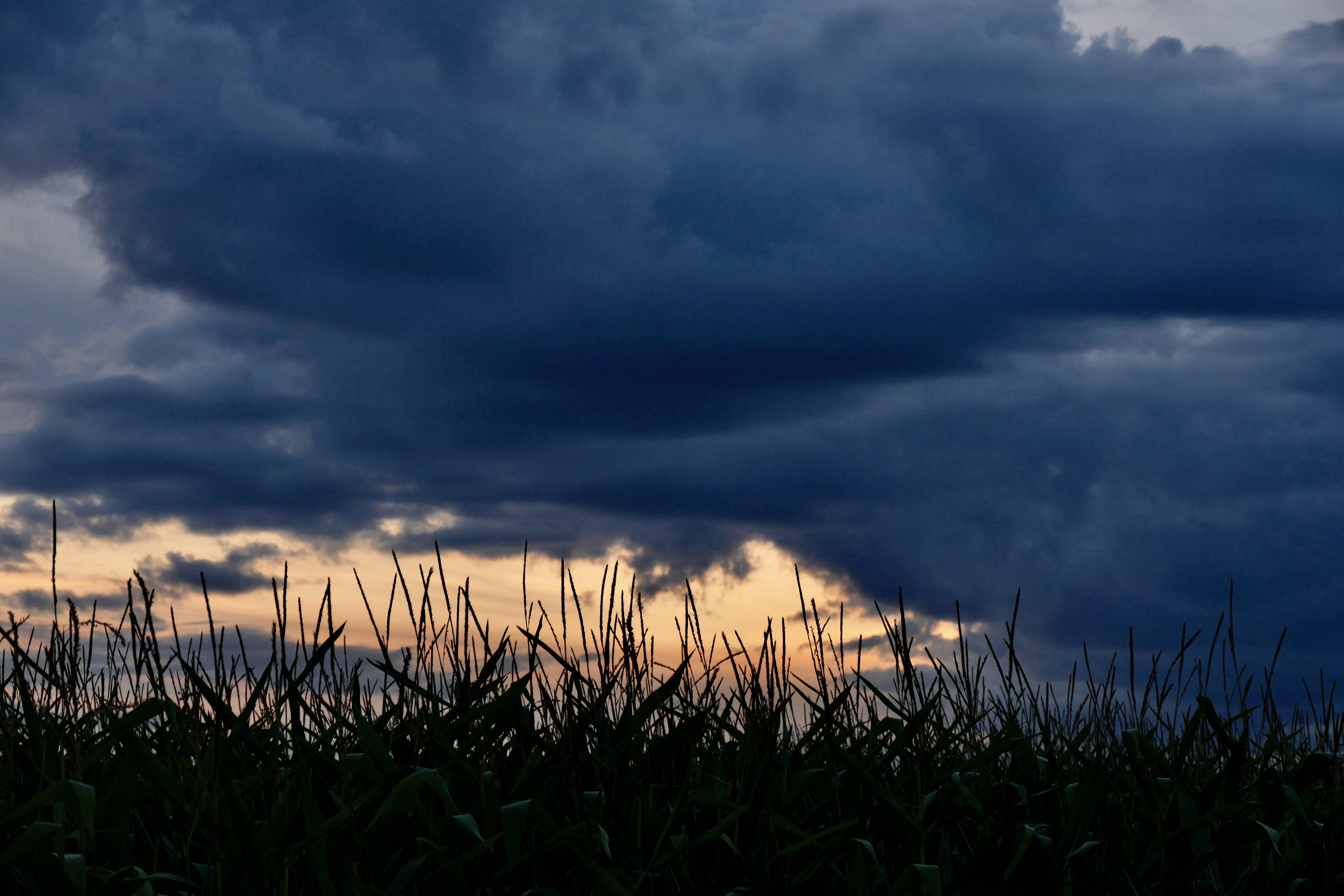 imago images 0302525810