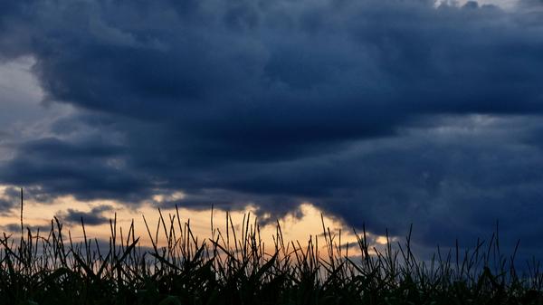 imago images 0302525810