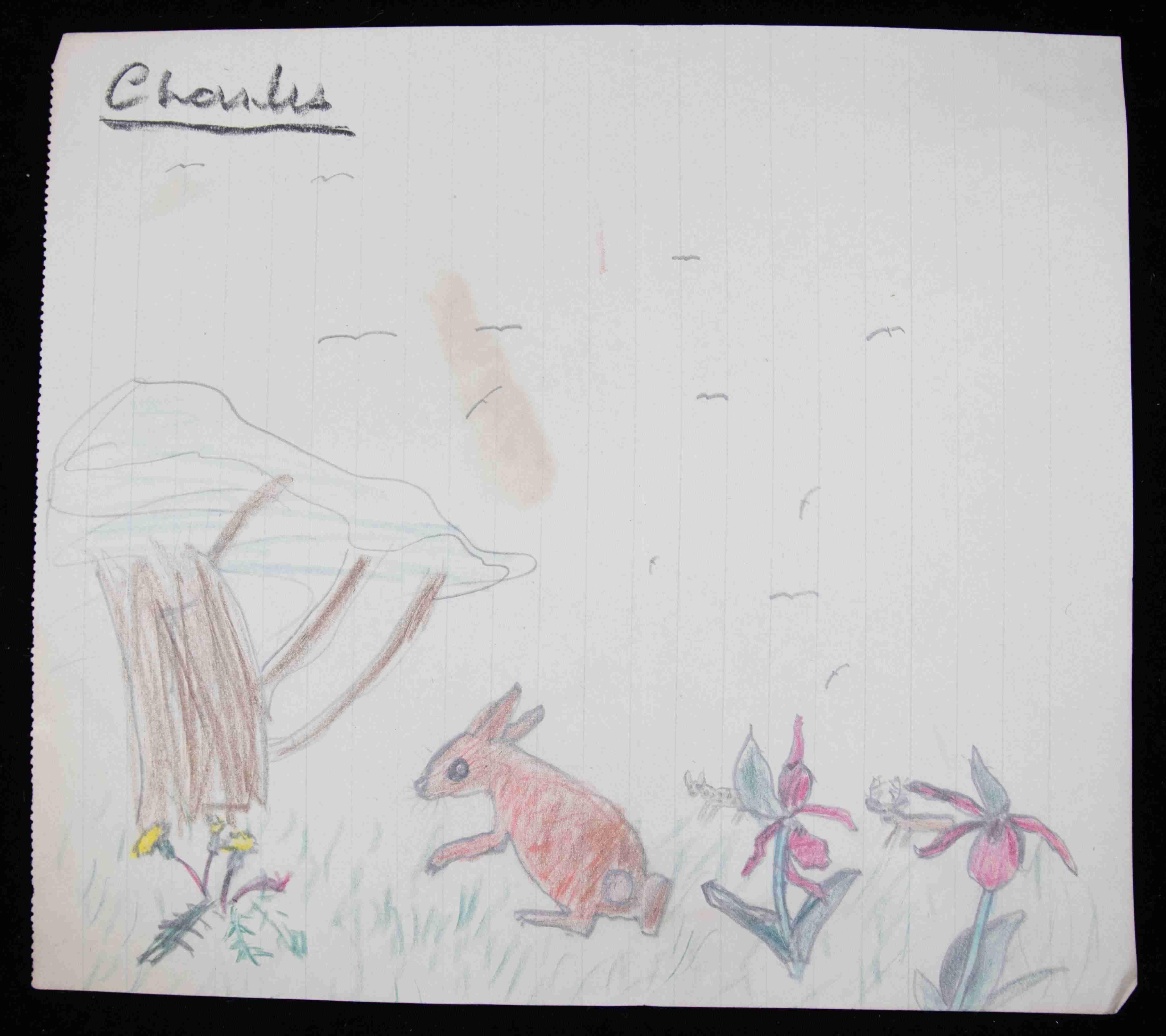 Am 14. November 1948 - wie es sich für für das künftige Oberhaupt der anglikanischen Kirche gehört, erst knapp ein Jahr nach ihrer Hochzeit - wird Elisabeth erstmals Mutter: Ihr Sohn Charles ist heute allerdings nicht als großer Künstler bekannt, auch wenn seine Kinderzeichnungen diese Vermutung vielleicht nahelegen. Er wird nach dem Tod Elisabeths als König im Jahr 2022 den Thron besteigen.