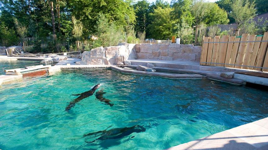 Im Juli 2011: Erste Bewohner ziehen in die Delfinlagune