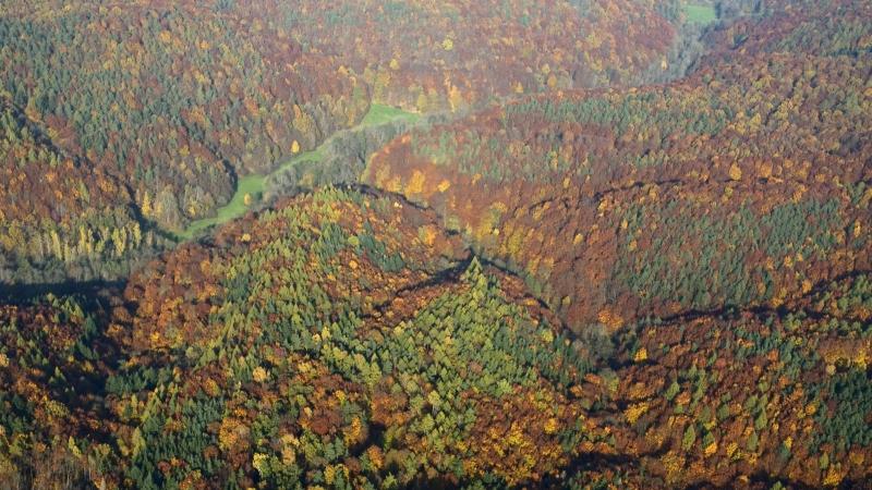 Luftaufnahme des herbstlich bunten und dicht bewachsenen Steigerwaldes bei Böhlgrund. Die Staatsregierung entschied sich gegen die Gründung eines Nationalparkes.