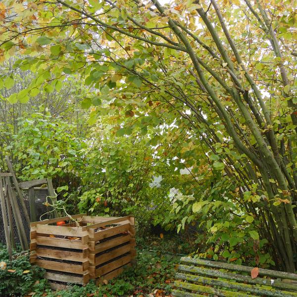 weitere, interessante Themen: