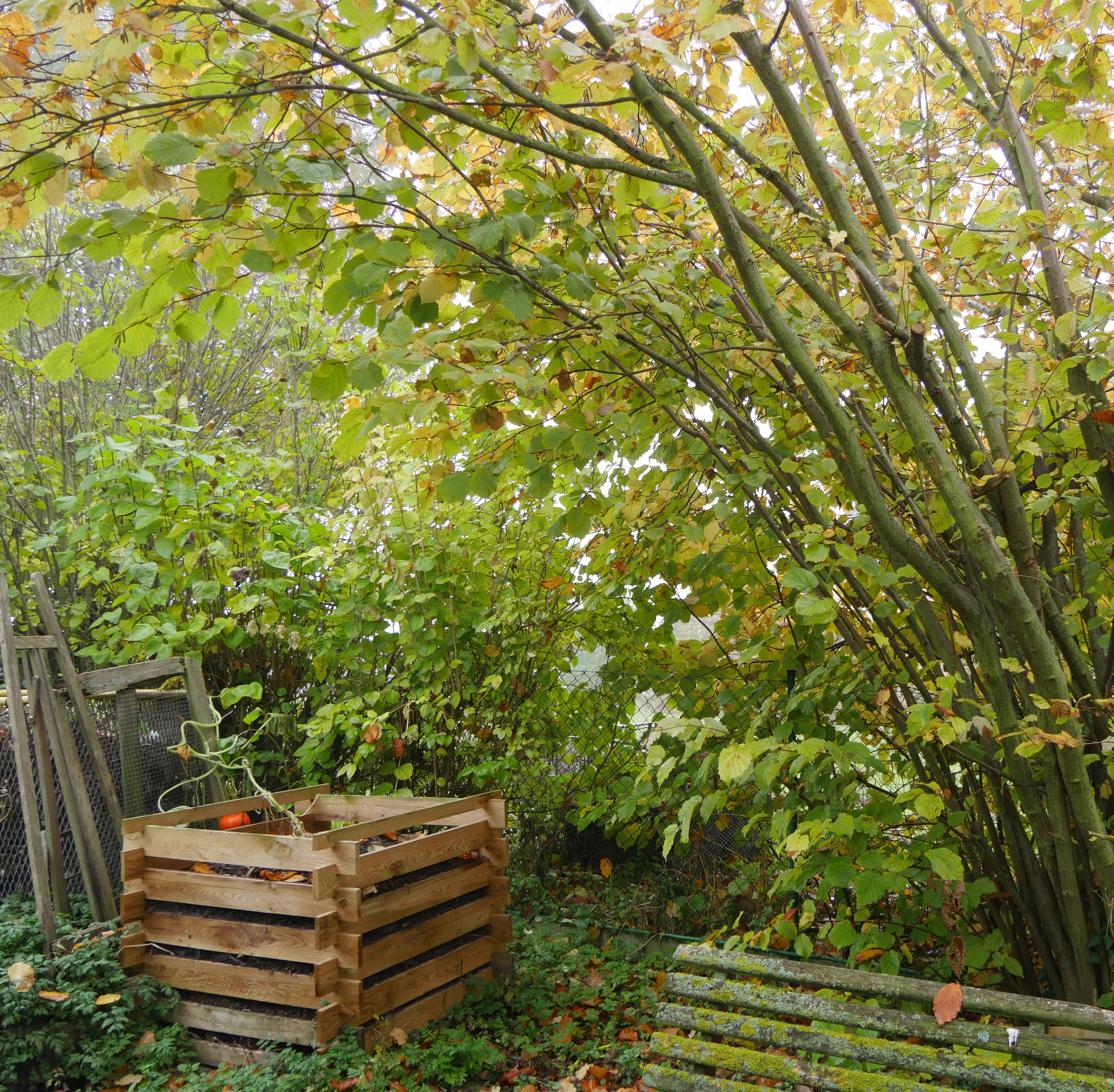 Gartenarbeit: Diese Abflle drfen keinesfalls auf den Kompost