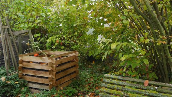 Vorsicht: Diese Gartenabfälle sollten Sie nicht auf den Kompost werfen