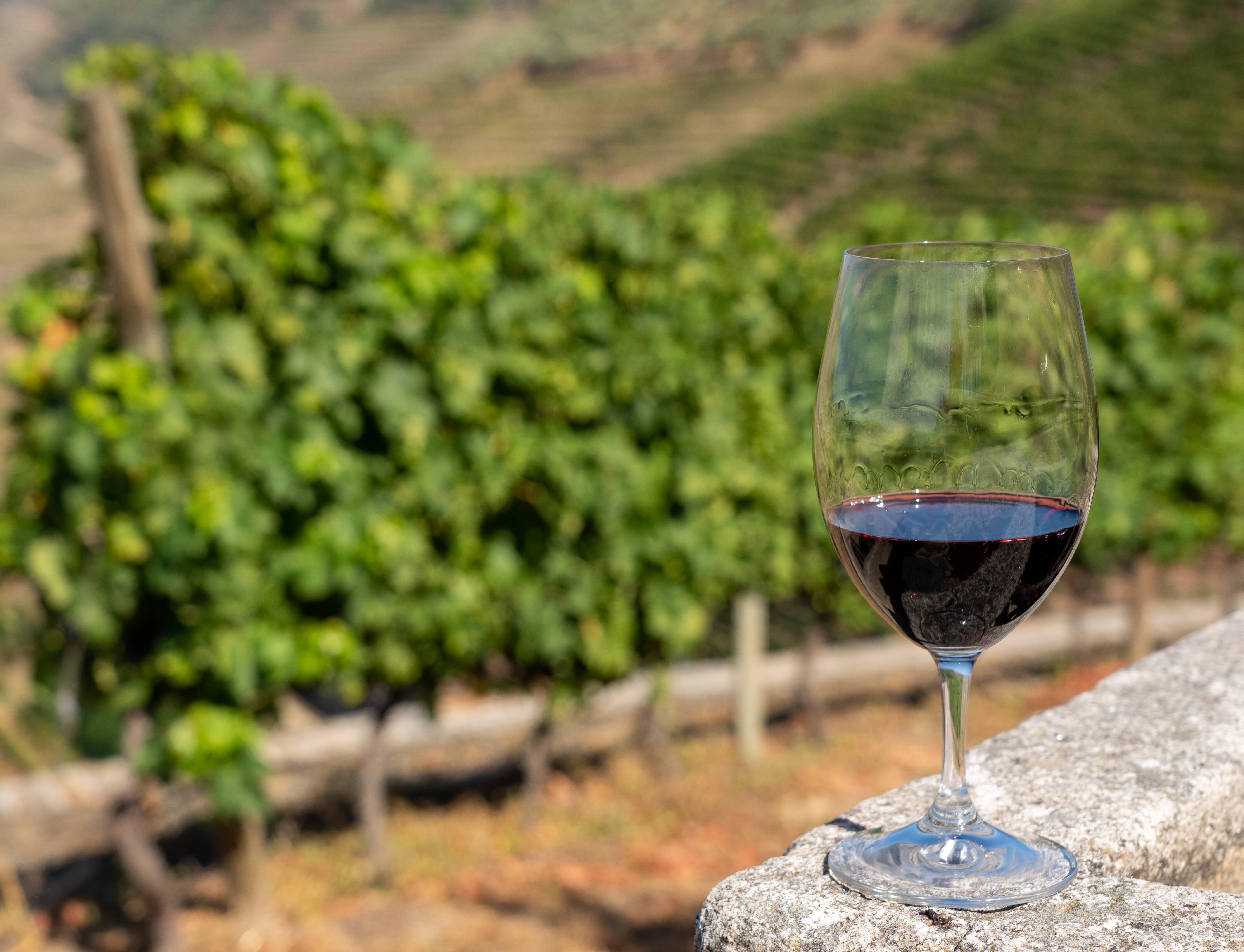 Rotwein flutet portugiesische Stadt