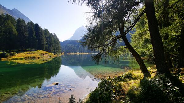 Im See am Albula-Pass bei Preda spiegelt sich das Tal.