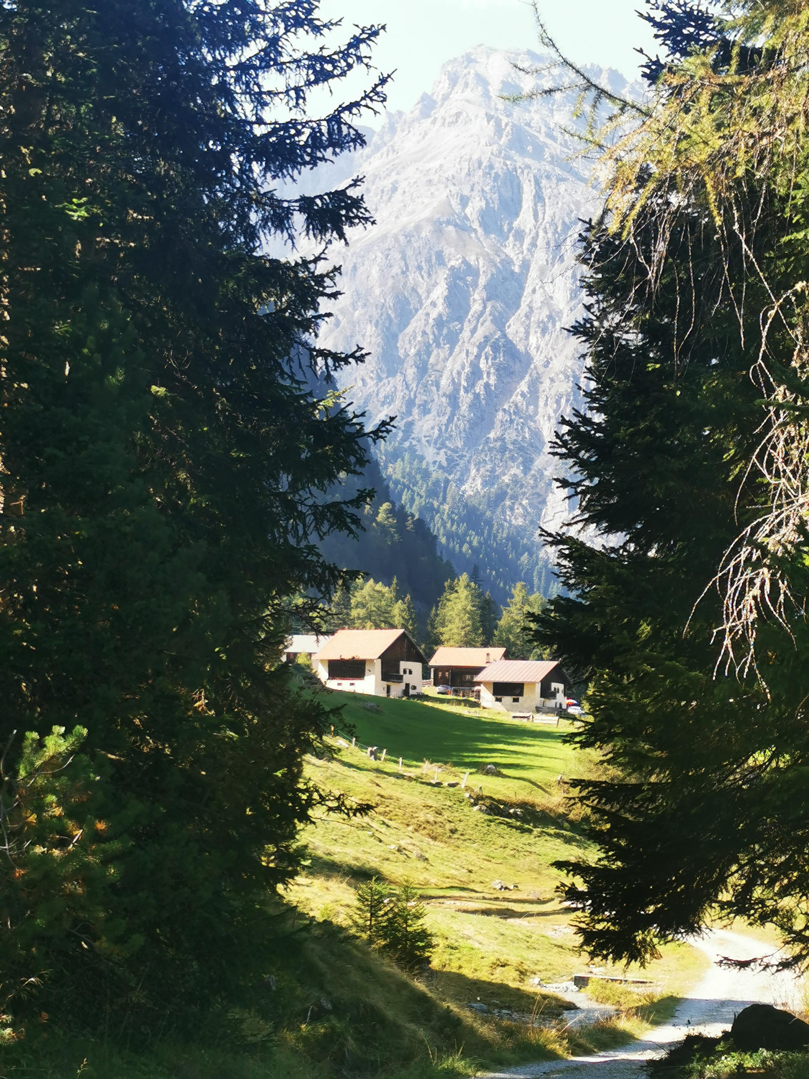 Blick nach der Rückkehr ins Tal auf die Holzhäuser von Naz.