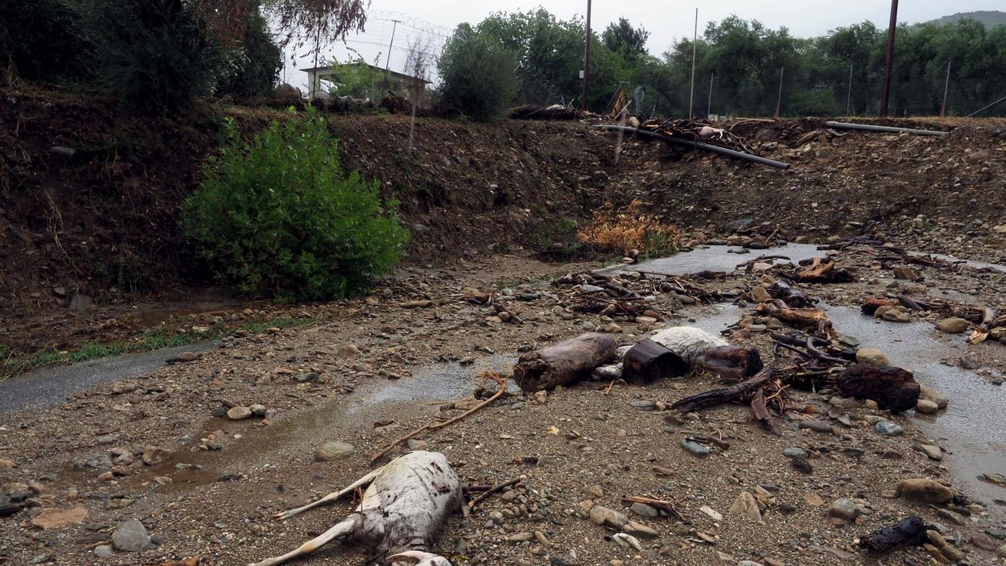 Tote Tiere liegen in Volos in Mittelgriechenland nach schweren Regenfällen im Schlamm.