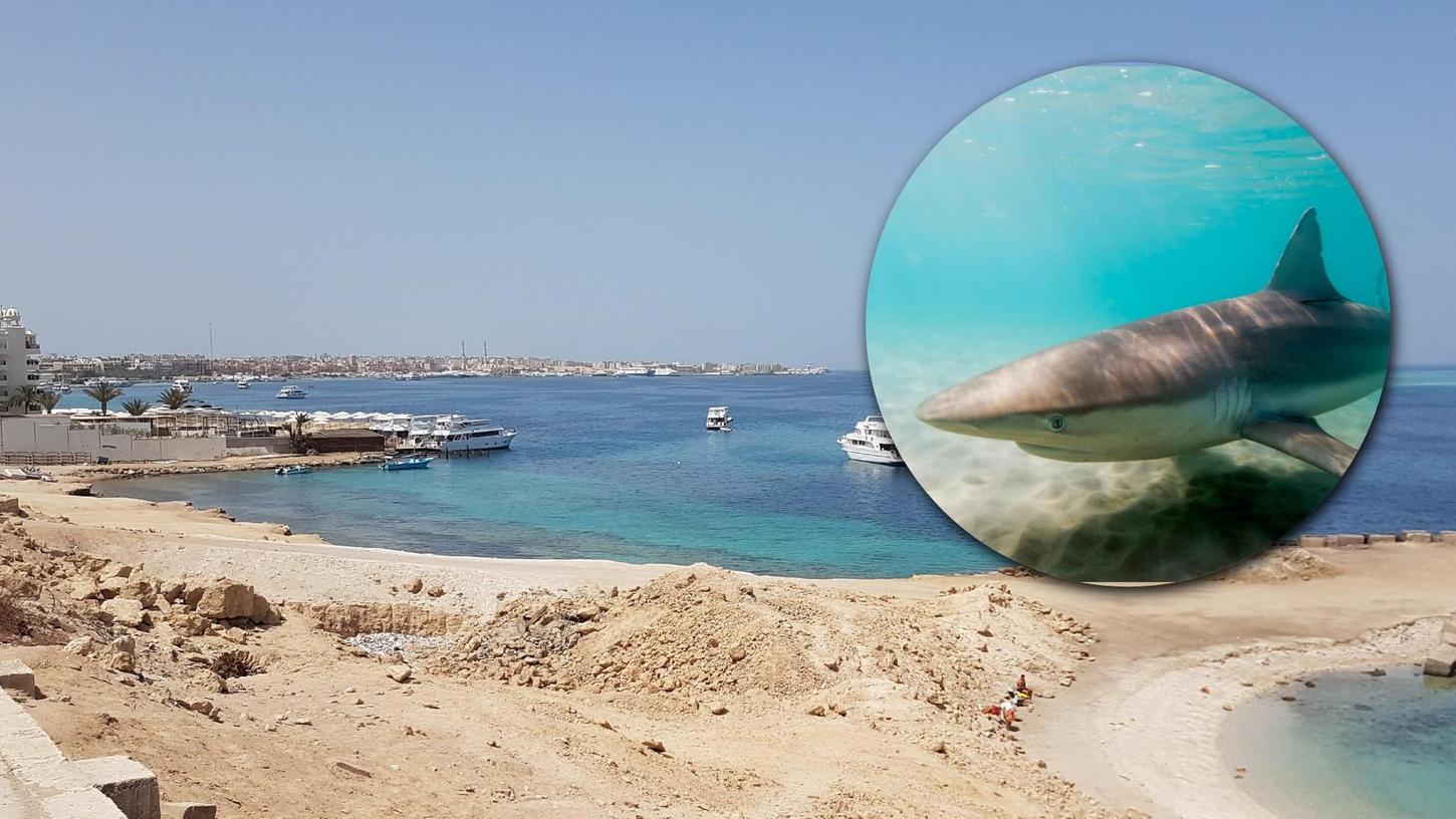 Nach einem Haiangriff in einer beliebte Urlaubsregion in Ägypten hat eine Frau ihren Arm verloren.