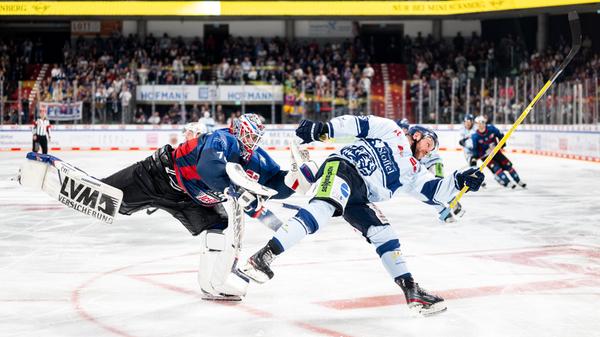 Nürnberg Ice Tigers - Straubing Tigers