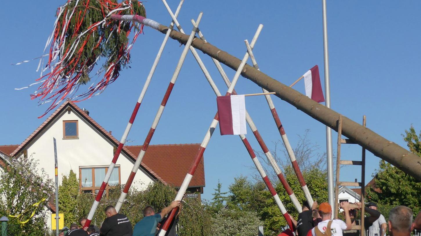 Mit vereinten Kräften wurde der 28,5 Meter lange Kirchweihbaum in Untermembach aufgestellt.   