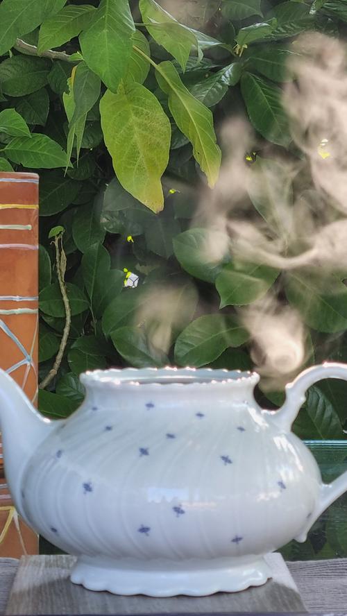 Malerische Dampfschwaden, die aus Omas Teekanne entweichen, verbreiten ein bisschen Zauber und viel Behaglichkeit. Mehr Leserfotos finden Sie hier
