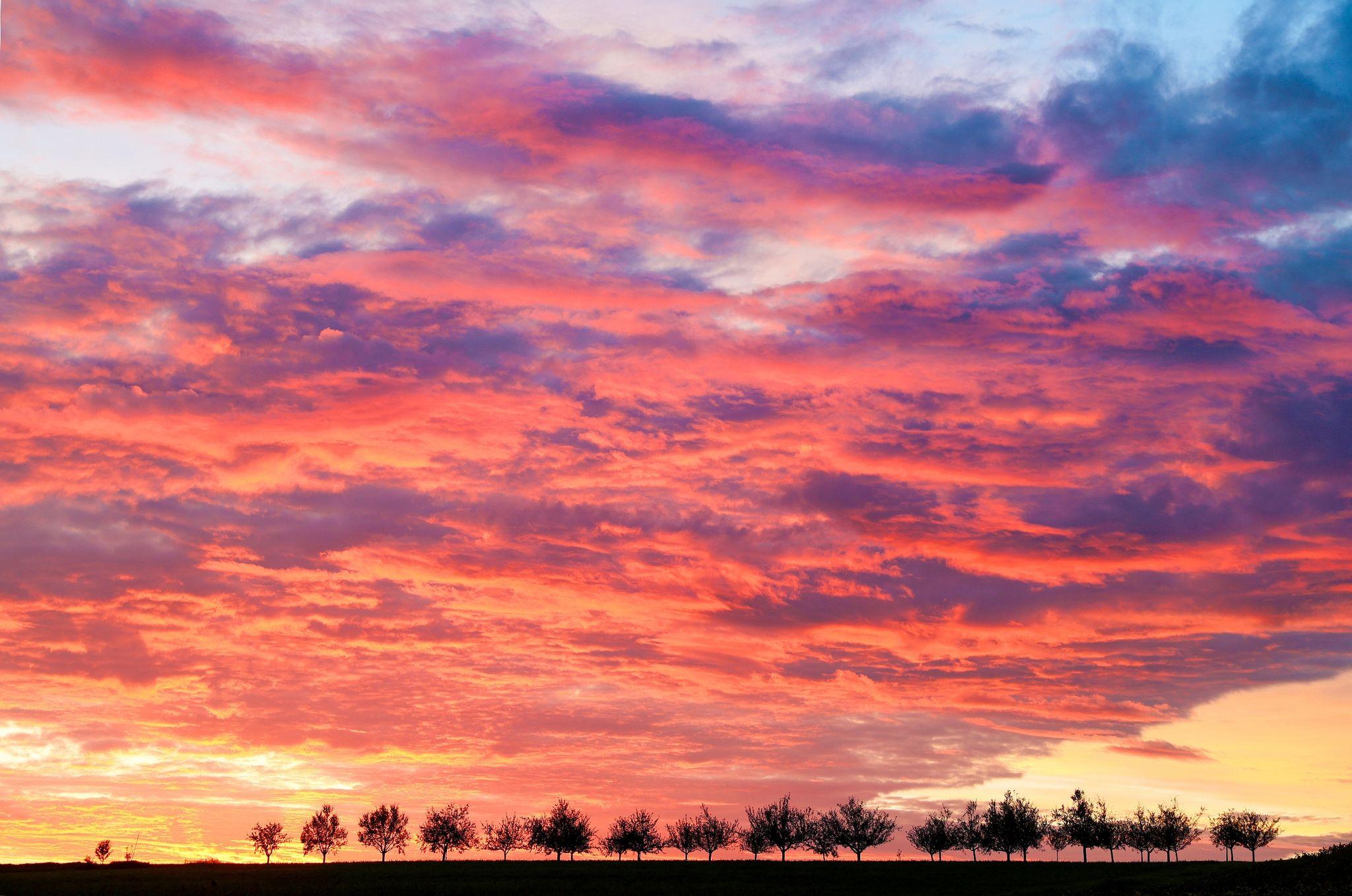 So wird das Wetter in Franken 2024 Diesen traditionsreichen Kalender