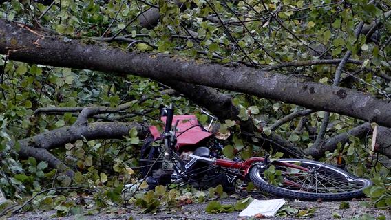 20 Meter hoher Baum stürzt auf fränkischen Weg um - Radfahrerin eingeklemmt und schwer verletzt