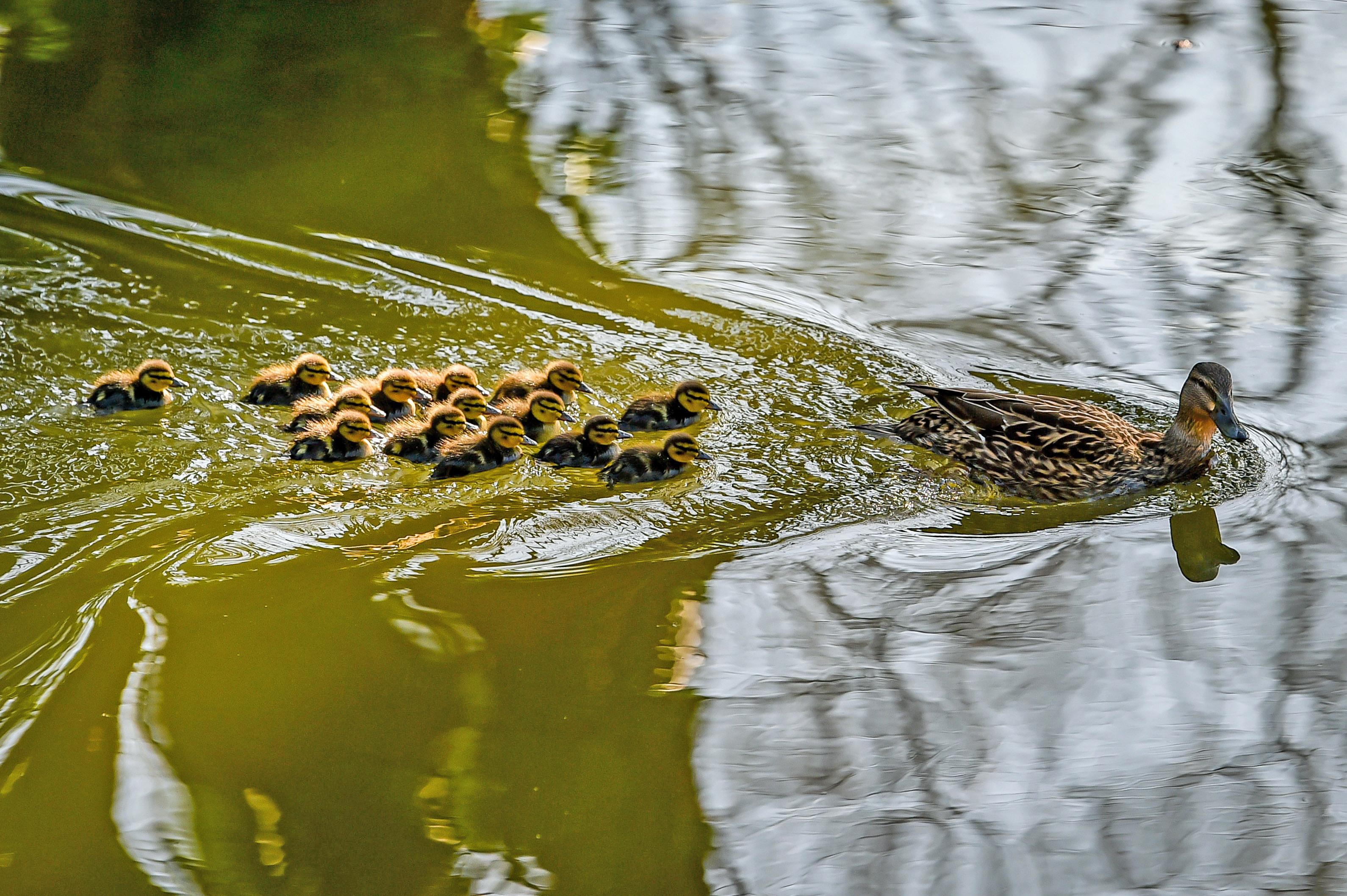 urn:newsml:dpa.com:20090101:230523-935-74040