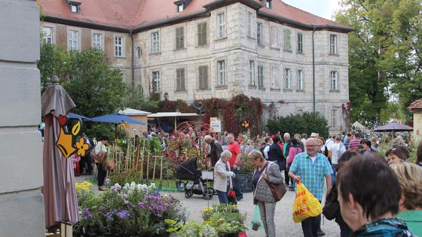 Der Hofbereich rund um das Schloss Weingartsgreuth am Rande des Steigerwalds dient am Samstag und Sonntag (ab 10 Uhr) als Kulisse für eine neue Ausgabe von "Faszination Garten". Auf dem Areal mit Blick auf das Gebäude im französischen Stil präsentieren rund 120 Ausstellende ihre Pflanzenschätze. Komplettiert wird die Messe mit einem Angebot an Möbel, Werkzeug sowie Dekorationen für den herbstlichen und winterlichen Garten.