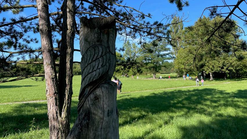 Die Eule am "Grünen Klassenzimmer" im Kurpark mussten viele Teilnehmenden erst einmal suchen. Die Eule am "Grünen Klassenzimmer" im Kurpark mussten viele Teilnehmenden erst einmal suchen.