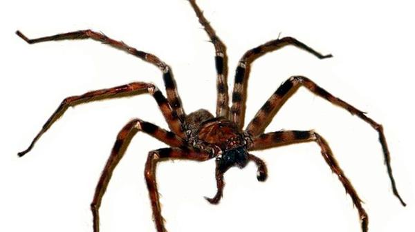 imago images 0203619338