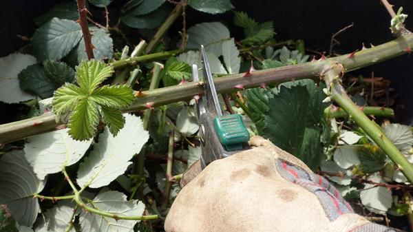 imago images 0257664031