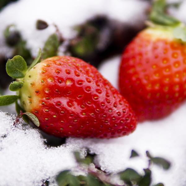 weitere interessante Themen: