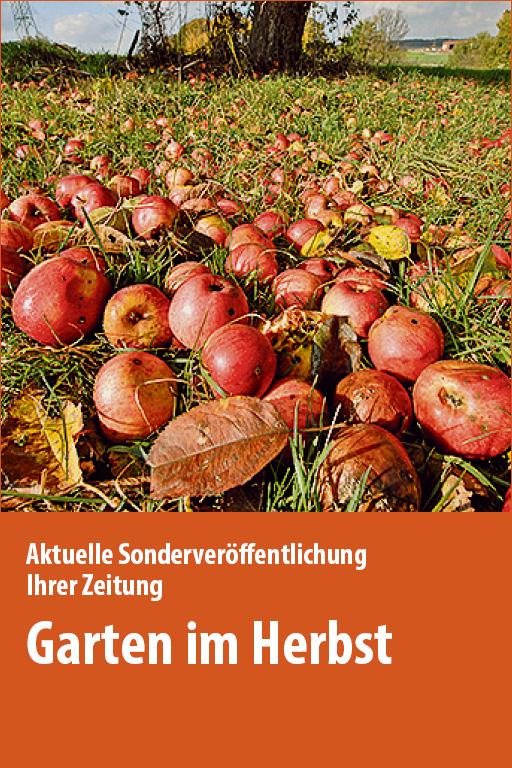 https://mediadb.nordbayern.de/werbung/anzeigen/Garten_im_Herbst_HNM_23092023.html