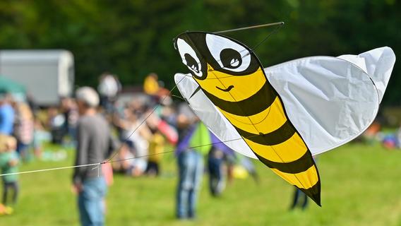 Kommt eine Biene geflogen... Das kann einem schon mal passieren beim Hilpoltsteiner Drachenfest. Kommt eine Biene geflogen... Das kann einem schon mal passieren beim Hilpoltsteiner Drachenfest.