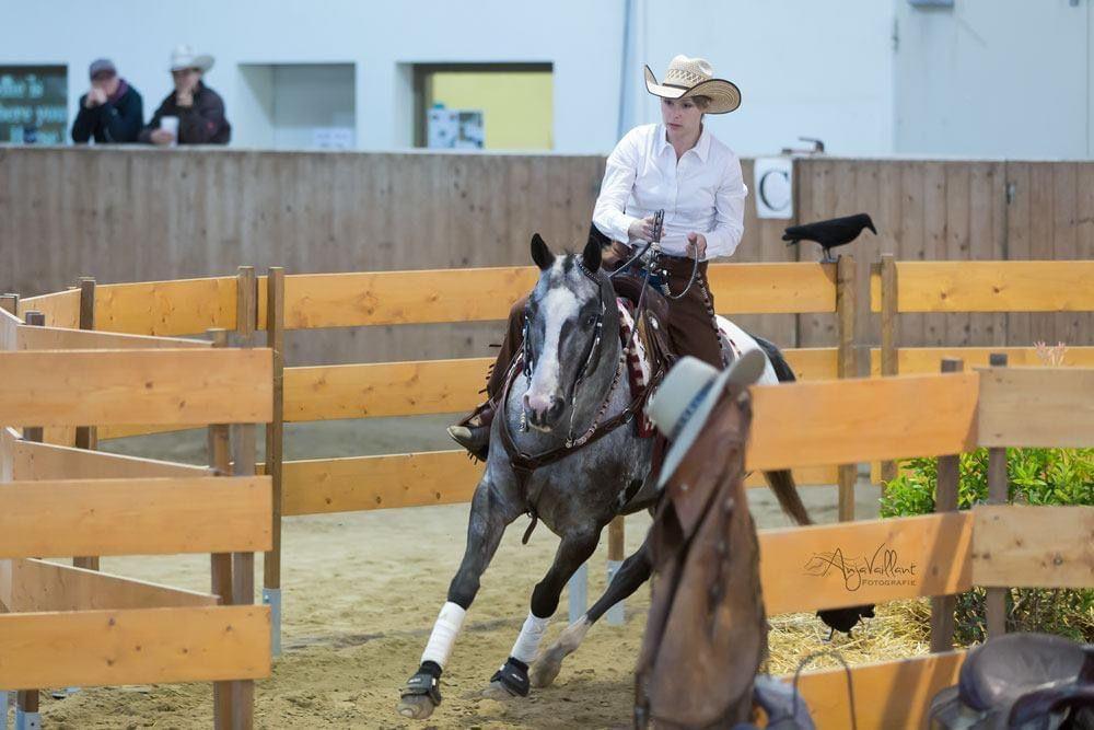Ranch Trail und Barrel Race: Wettstreit der Westernreiter am Kiesenhof