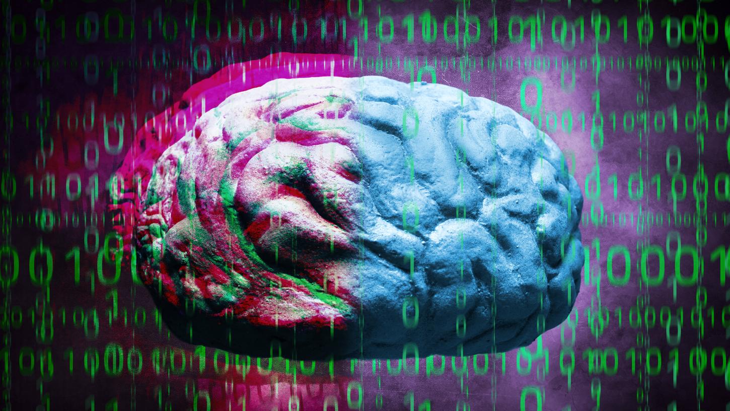 Montage: Menschliches Gehirn und Computercode. (Symbolbild)