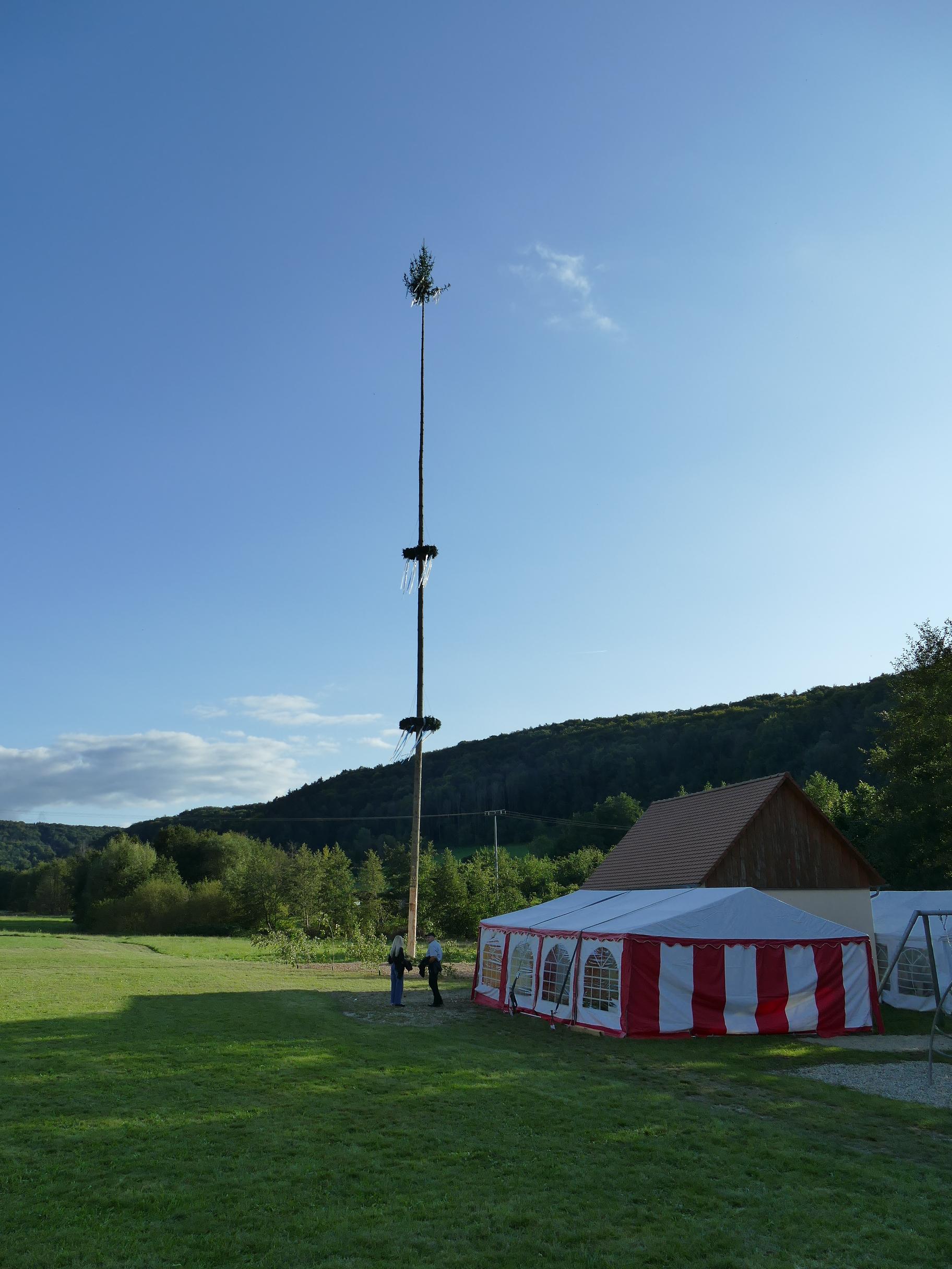 39 Meter hoher Baum: Kirwa in Kainsbach hatte viel zu bieten