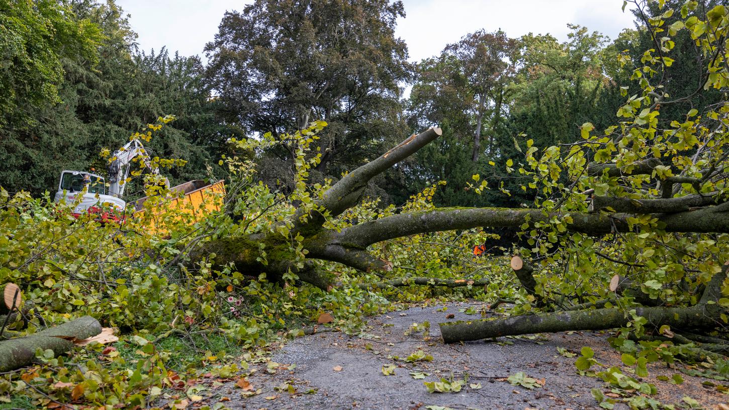 Ob ein Fremdverschulden im Falle der durch einen umgestürzten Baum zu Tode gekommenen Radfahrerin vorliegt, ermittelt aktuell die Staatsanwaltschaft. Ob ein Fremdverschulden im Falle der durch einen umgestürzten Baum zu Tode gekommenen Radfahrerin vorliegt, ermittelt aktuell die Staatsanwaltschaft.
