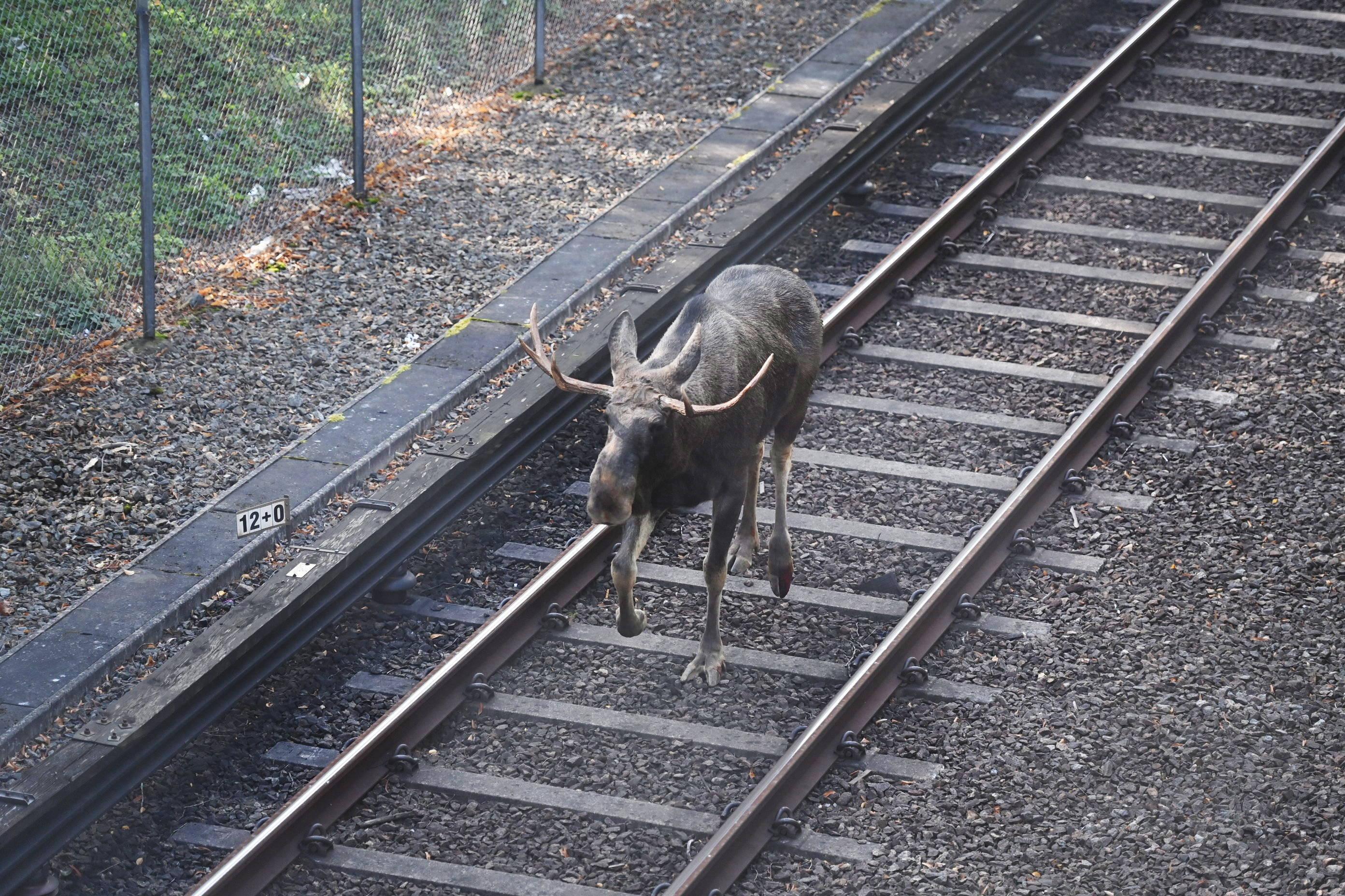 imago images 0306116416