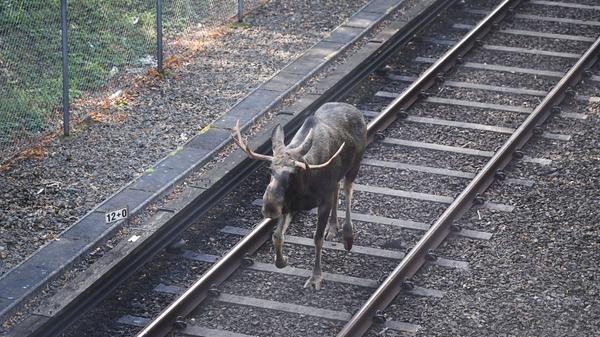 imago images 0306116416