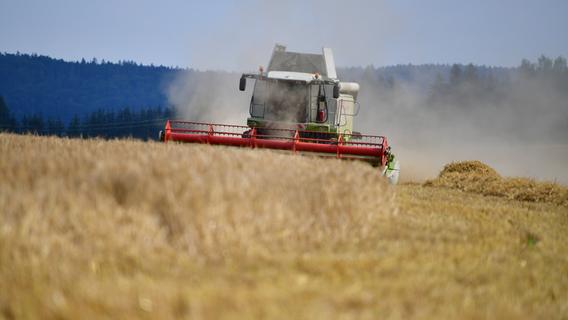 Erntedank: Das haben Neumarkts Landwirte 2023 von Feldern und Wiesen geholt