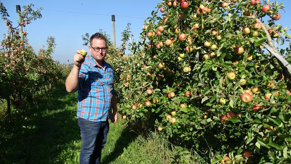 30.000 Bäume: Obsternte bei Susanne und Hartmut Krafft, den Apfelkönigen aus Altmühlfranken