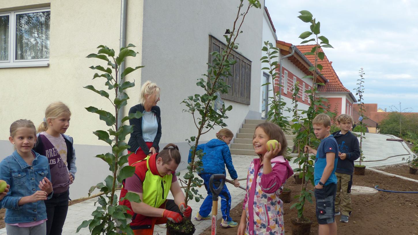 Die Poxdorfer Schulkinder legten begeistert ihr Obstgärtla an. Die Poxdorfer Schulkinder legten begeistert ihr Obstgärtla an.