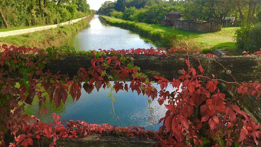 Herbstliche Blätter ranken sich bei Berg über den alten Kanal. Mehr Leserfotos finden Sie hier