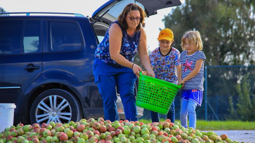 Mann sammelt drei Tonnen Äpfel von der Straße und bringt sie zum Obstmarkt nach Pretzfeld