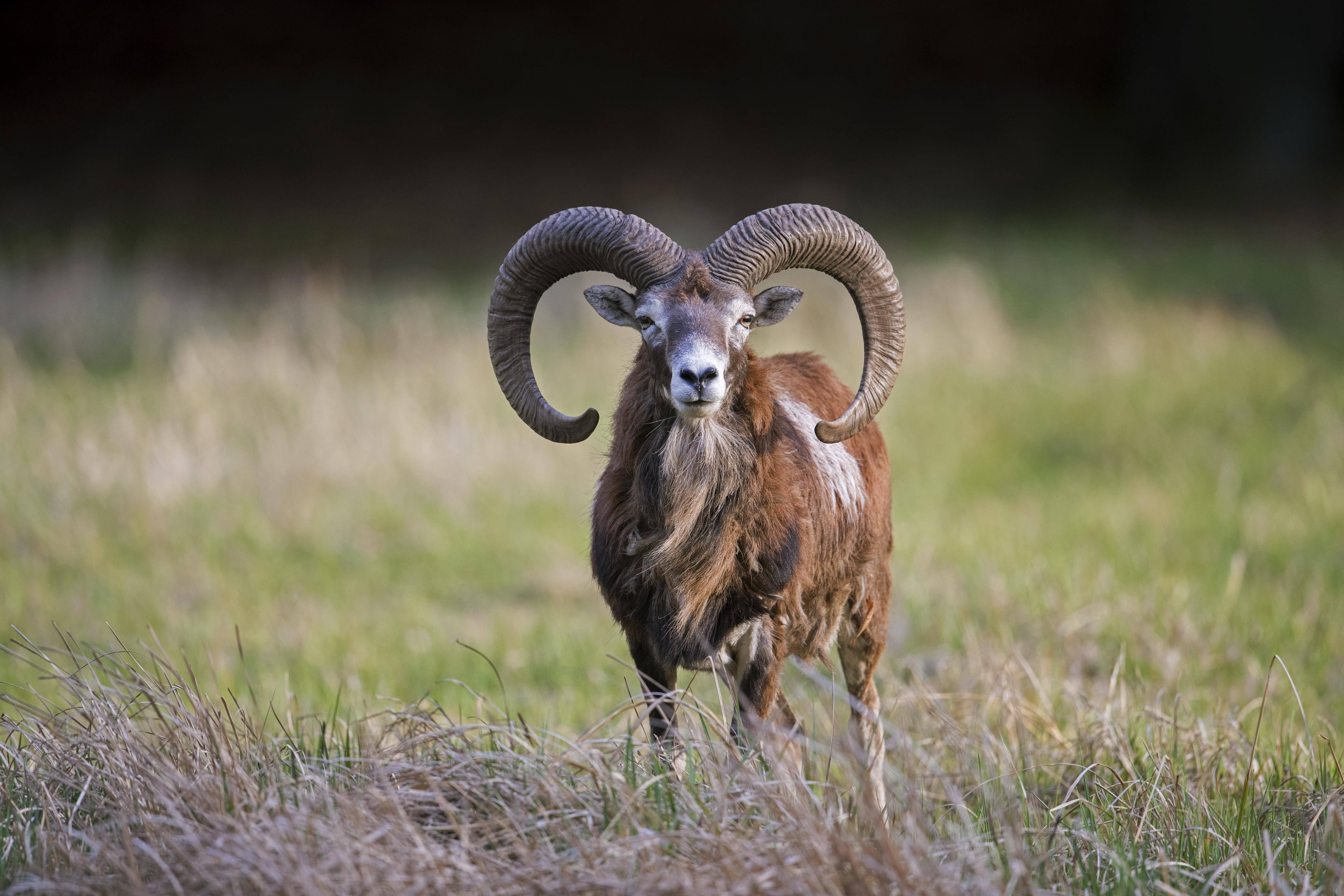 imago images 0260331235