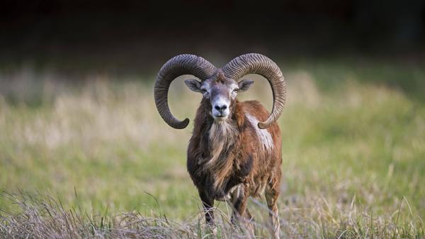 imago images 0260331235