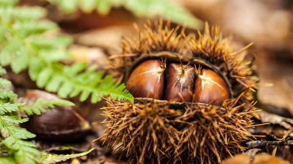 imago images 0246317487