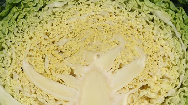 imago images 0241130131